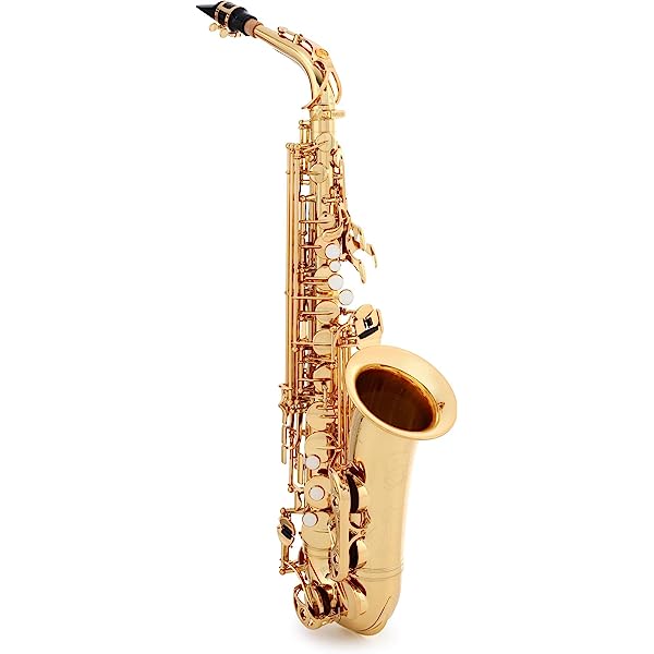 Los 5 mejores saxofones tenor revisados ​​en detalle [Jul. 2023]