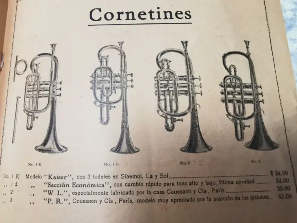 Una lista completa de instrumentos de viento populares: ¡todos los tipos de trompetas!