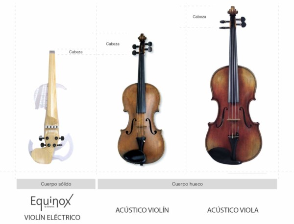 Viola vs violín: comparación detallada para 2021